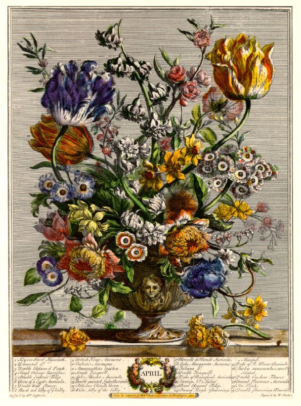 Flowers Handcolored Engraving